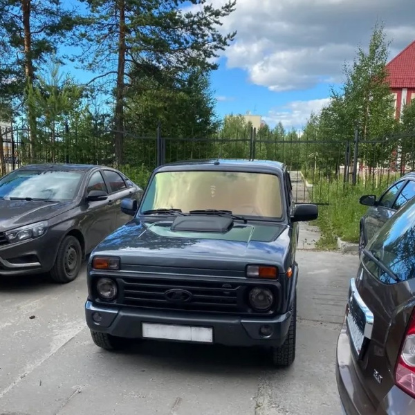 Автомобильная HAMELEON 83 BRONZE/GREEN, тонировочная пленка Solarnex  (1,52смх30м.) хамелеон Автомобильная HAMELEON 83 BRONZE/GREEN, тонировочная пленка Solarnex  (1,52смх30м.) хамелеон